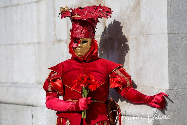 venetian-carnival-042EA6350A-E916-872A-DD69-48D75BDD897F.jpg