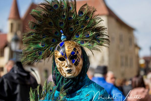 venetian-carnival-11B503262E-00EB-219E-19E4-88175DE33E1D.jpg