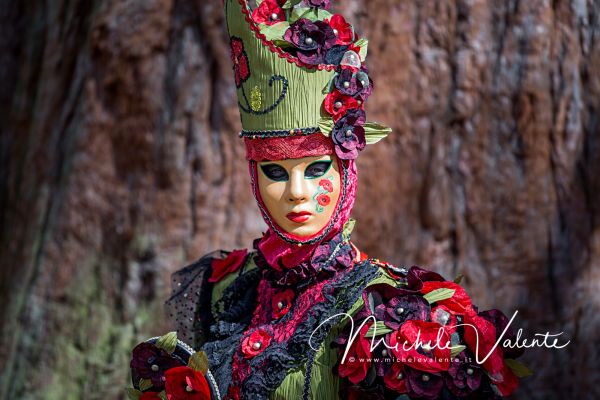 venetian-carnival-470B456678-9F8E-E03F-DD66-4A60F2F23713.jpg