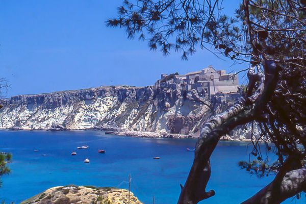 isole-tremitiridfirm1360FF3F-169F-2C18-0C25-837FA00709BC.jpg