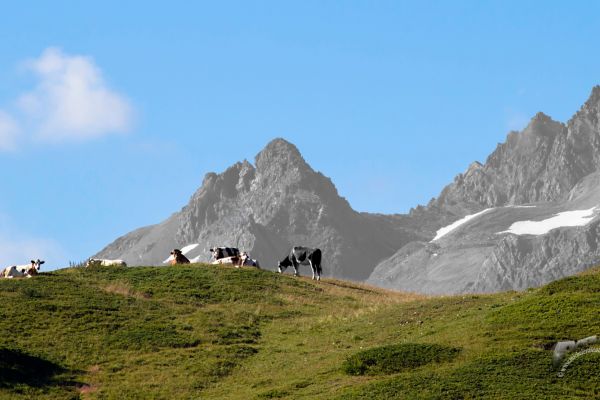 landscapes-07148DBECC-A4FB-2EB0-1D4C-EA541FA3588A.jpg