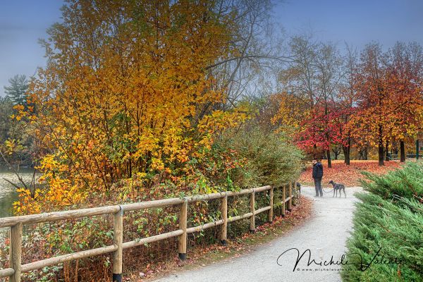pellerina-017B3C3891-A54E-F23D-E023-6A2DA73AD184.jpg