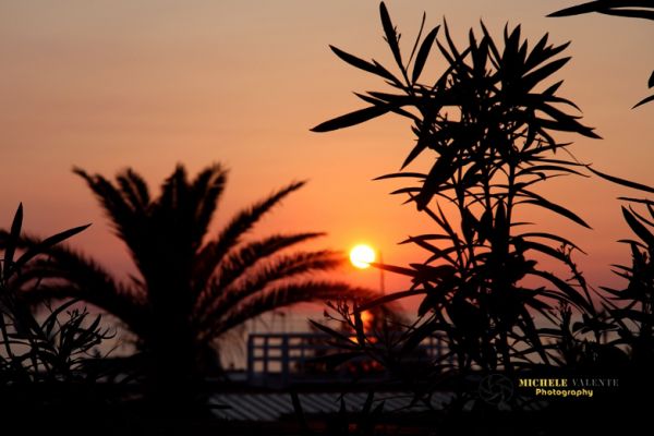 sunrises-and-sunsets-1039CF093E-93F2-35B8-650C-AE02FDF4789E.jpg
