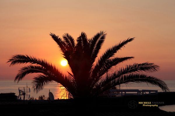 sunrises-and-sunsets-1148ECBDCB-BBF9-3DA2-76E7-A58B7B898CFC.jpg