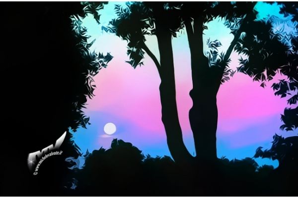 sunrises-and-sunsets-202BC1E48E-4BEC-7D65-A093-325FC1A6E72A.jpg