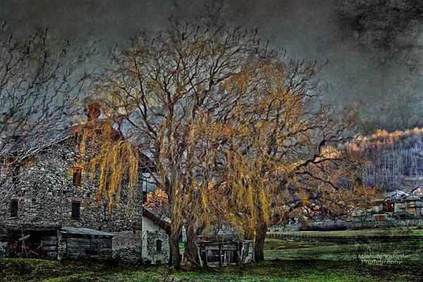hdr-44248239C6-2B76-5E25-C4E5-70E6E0596DD9.jpg