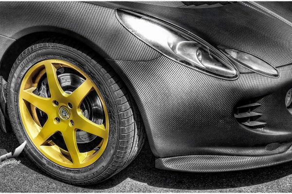 lotus-27679A09C-621D-BEF8-05C4-F532B625E92C.jpg