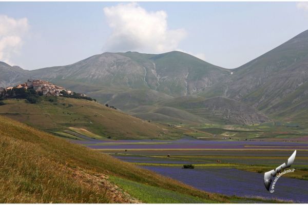 castelluccio-1014FA86D2A-85AC-2BAC-2691-406212BF2F0B.jpg
