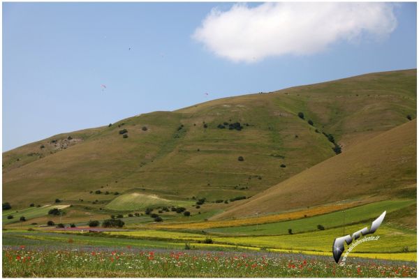 castelluccio-1023CC1620B-0834-C2BD-9332-B7C3FB65BFB9.jpg