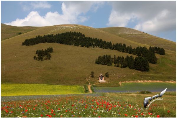 castelluccio-103167CD61E-EE56-DCCB-3E64-67A0464CB623.jpg