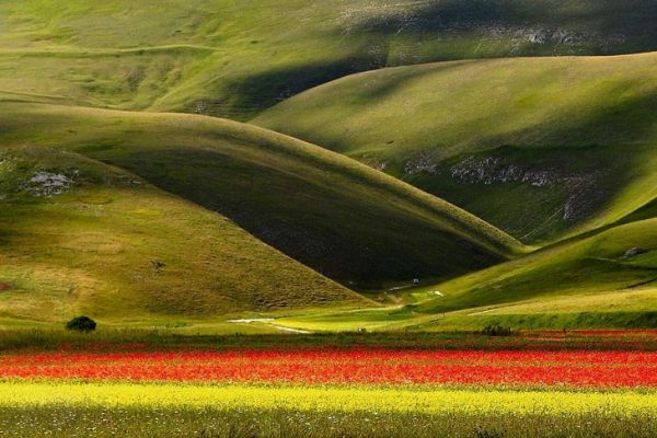 castelluccio-1121DB5DC08-CCBF-1E9D-C3ED-615D1CCBCD64.jpg