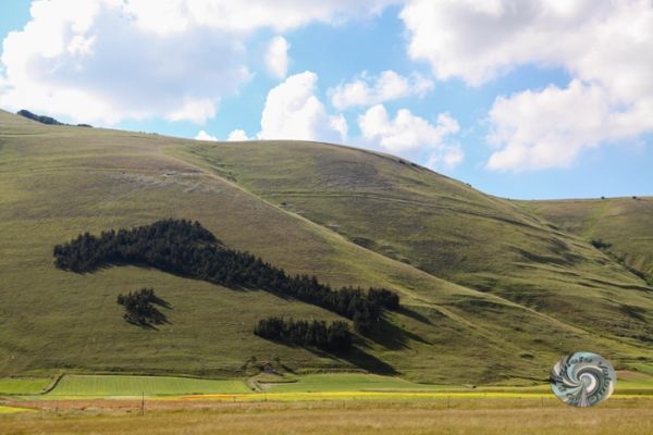 castelluccio-1850EBD19F-7616-4C11-ACBA-7F2082B01F74.jpg