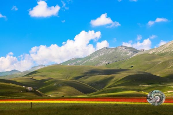 castelluccio-21BD1C844C-5D8D-8CB1-A494-891EFEE8D6CD.jpg