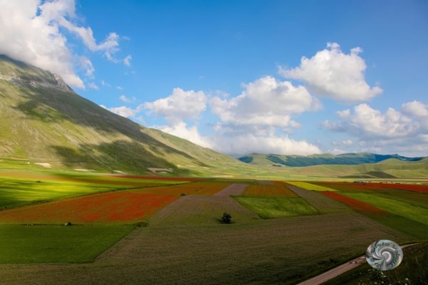 castelluccio-260928CBD0-B620-2B3A-0C66-EEB2BFB975AB.jpg