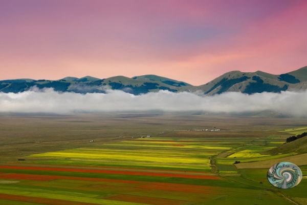castelluccio-28C64653D5-A486-1038-5624-689DF8FB1297.jpg