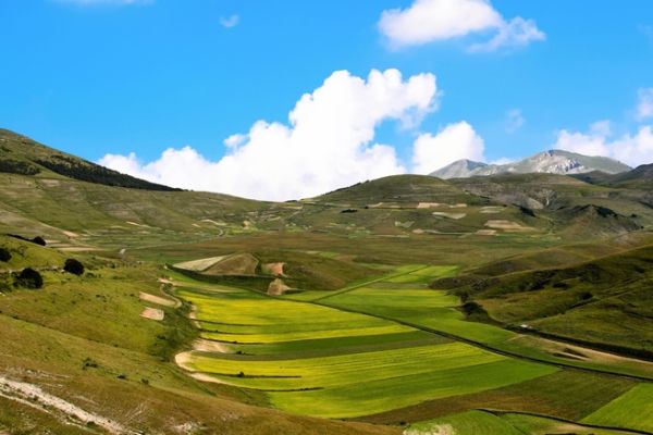 castelluccio-32E7C2600F-E4B2-7436-08F1-931B29388E55.jpg