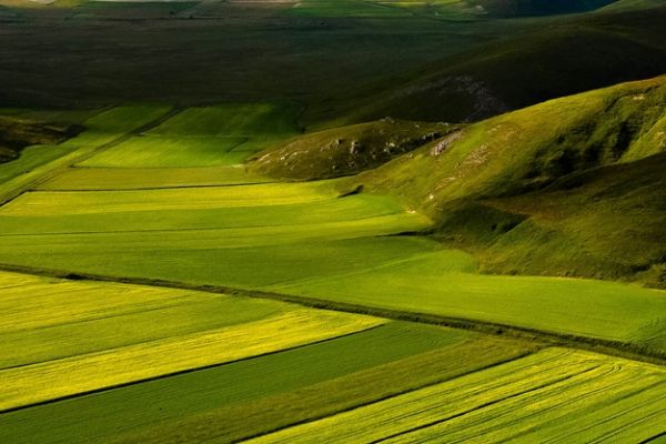 castelluccio-348B62C2A4-AA40-BF00-3B98-A81C9F5D36CC.jpg