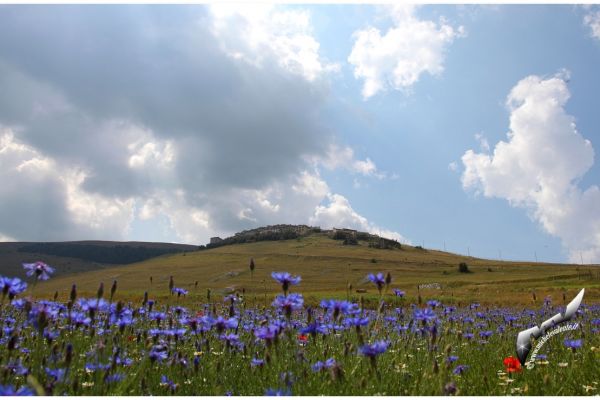 castelluccio-40EBE3D45D-574B-C036-7354-3EF3B640E3FF.jpg