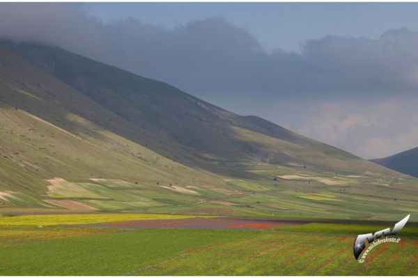 castelluccio-413BABBE0D-472C-A5E8-5AB9-13ECBACD9C2D.jpg