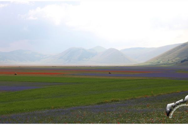 castelluccio-424F03D257-220C-AE13-4B15-0A1DD32603CA.jpg