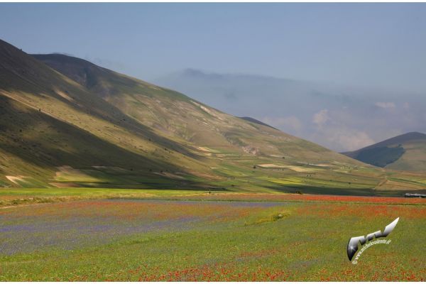 castelluccio-46CDD175C0-AAE0-BFB7-1B34-05960E96C910.jpg