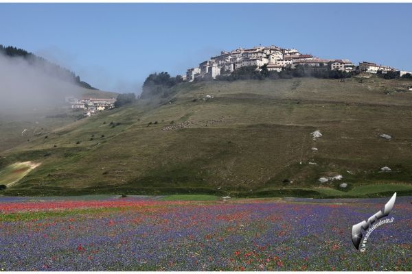 castelluccio-59223F6B92-2EC8-9714-DE4F-9BFF5EDC72B4.jpg