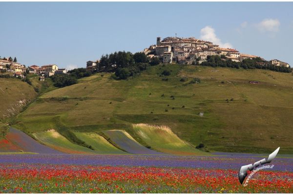 castelluccio-63F2782DE7-B9F1-7E2E-477C-0930B2261AA7.jpg