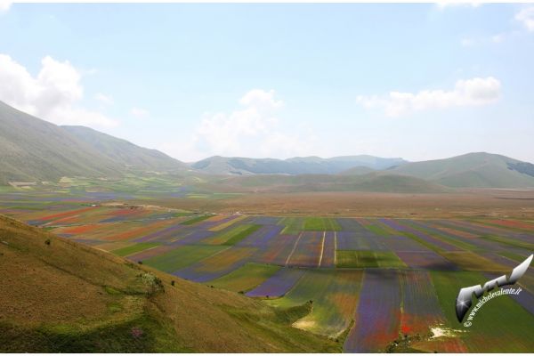 castelluccio-669B8446DE-EA72-F9F5-22AA-F708F1CE8A31.jpg