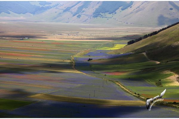 castelluccio-67B82851C2-AE7B-725D-782E-E2B75E43ED6C.jpg