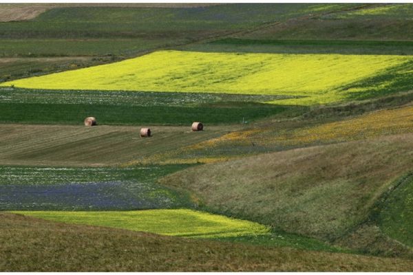 castelluccio-86EBF3CA42-8647-9AE3-CB1D-45615538B8C3.jpg