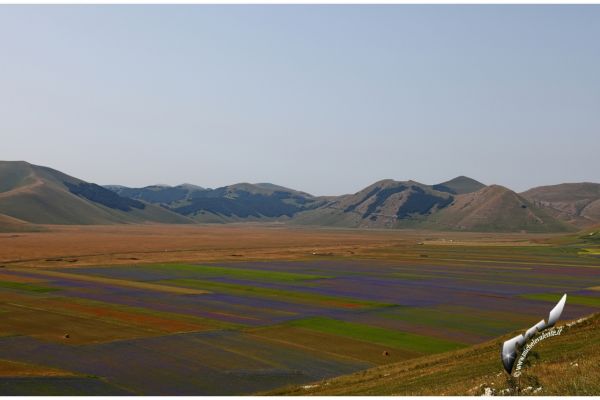 castelluccio-93359D1258-6C7B-9D66-8F99-785FD6965931.jpg
