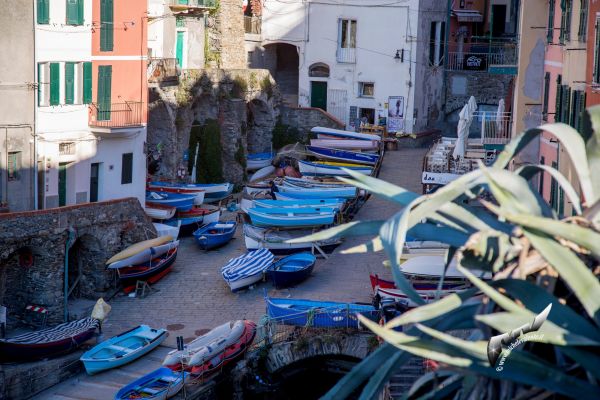 cinqueterre-077DDC3DD6-6BE4-2E1F-CC8C-3F67B08AE22D.jpg