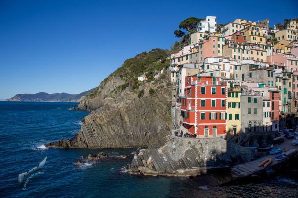 cinqueterre-087CD923BB-B8EF-84C9-C263-4516554DF780.jpg