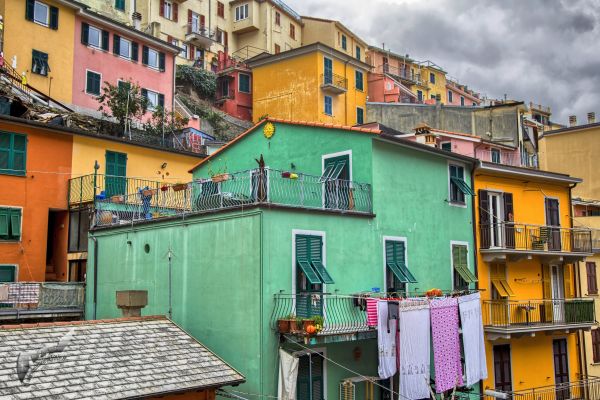 cinqueterre-1790F2A207-3B2D-4802-4502-D0F48BF793A7.jpg