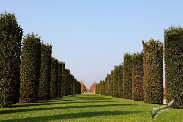 reggia-di-venaria-0638CFBC3F-7C1C-A31D-C635-085048F3AB91.jpg