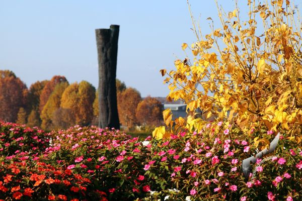 reggia-di-venaria-31D0841F5B-0DF6-1422-4F81-259353FCB4F5.jpg