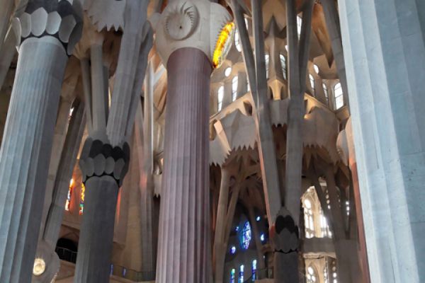 barcellona-spain-1342F6D1FB-01E6-2B3A-2991-219B0D01D749.jpg