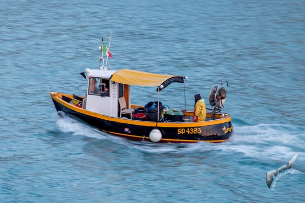 portovenere-075F112F80-9D32-207C-664B-E16FB0B88FC4.jpg