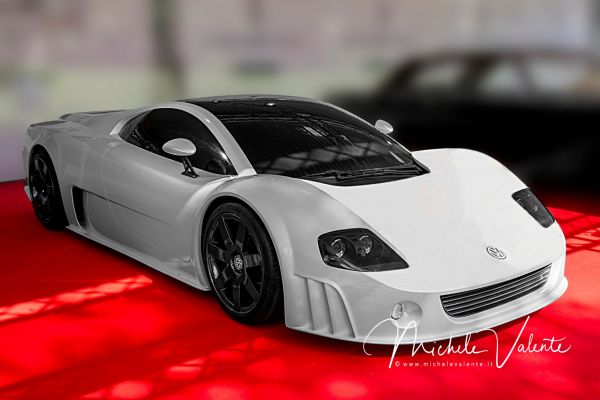 salone-auto-19A2166CC9-7FCF-068B-E6D3-D4B2E8F2ACEB.jpg
