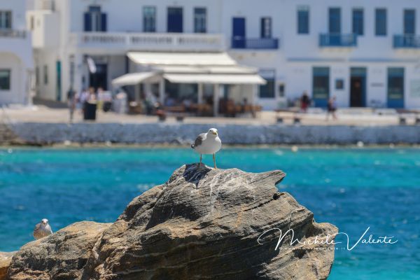 mykonos-22F0B7F177-C15B-12C6-2429-DBD1818A3DAD.jpg