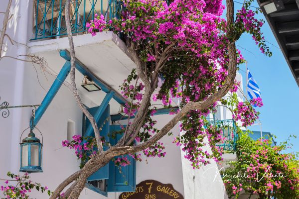 mykonos-2980E8E578-1641-84B6-80DC-BD7FC3E3F032.jpg
