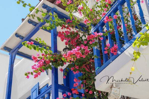 mykonos-40B079CC41-BDC1-7AA9-8600-FDE6133D44BE.jpg