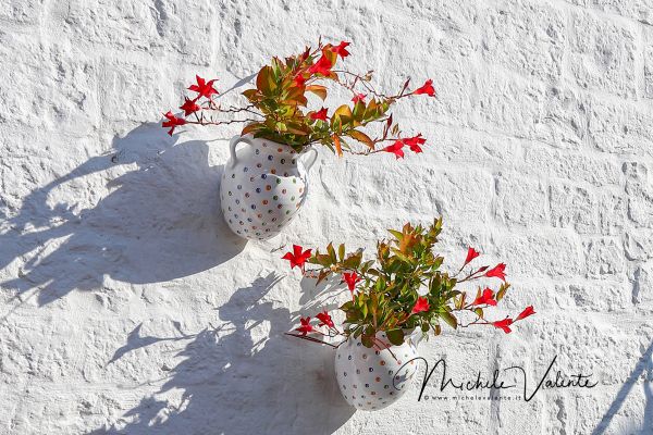 alberobello-22E53EBC03-60B3-AEDA-699E-4E367358962E.jpg