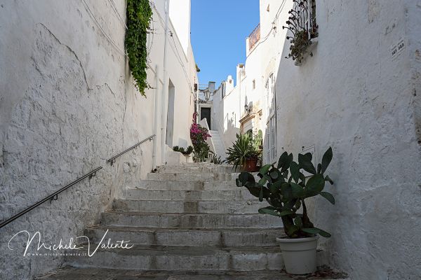 ostuni-12F9F4EE2F-CA61-20C6-DE1A-57861FCF2CB9.jpg
