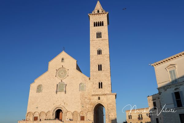 trani148CE6ED-182B-59EA-EC8A-EC629EB81DDB.jpg