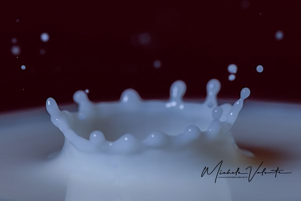 img-1124F0B5E839-D119-0A7C-B6F0-7FCE3821151F.jpg