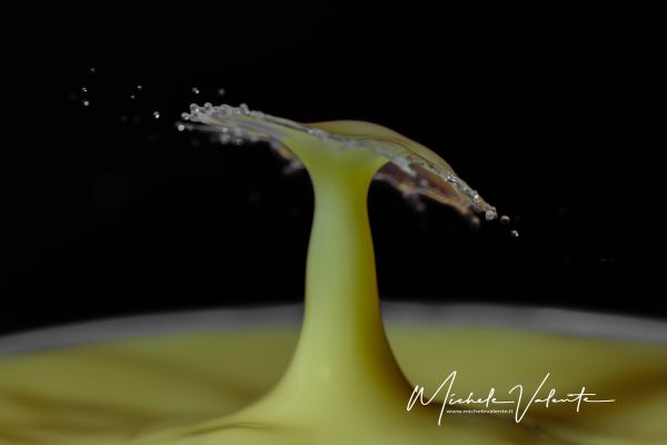 img-119403993E73-AA55-0718-07F0-ADC0EB3A3B48.jpg
