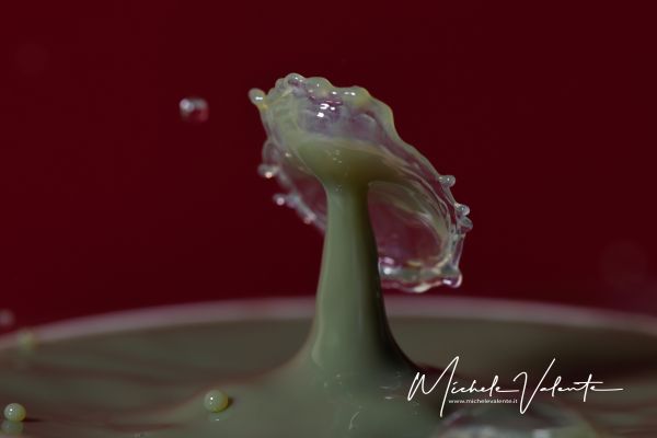 img-1257402B8473-B5F1-5AD4-42F3-8B31B0F63006.jpg