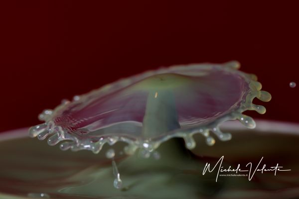 img-12861C5B96F5-75E0-6567-0C07-3B38C31BCAD6.jpg