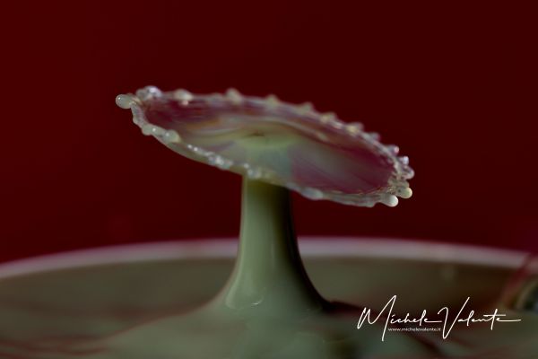 img-128715F49EB6-C025-6488-136B-599027610CD4.jpg